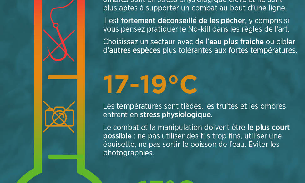 Température des rivières en temps réel