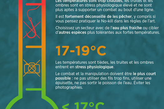 Température des rivières en temps réel