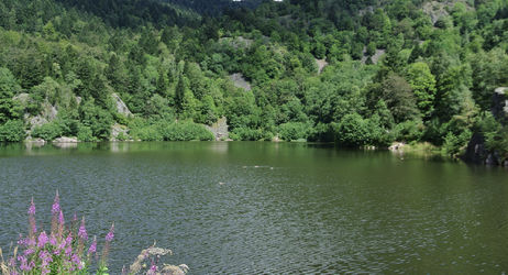 Découverte des lacs de Neuweiher !